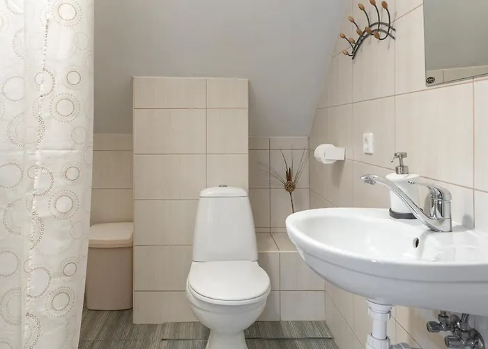 7 Sakalai פלאנגה